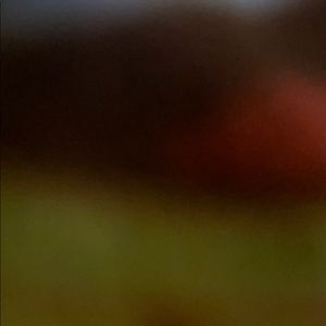 Meet your Posher, Brooklynn